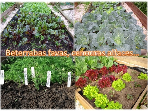 Alguns produtos cultivados (1)